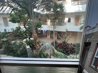Enlarge photo 28