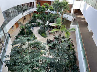 Enlarge photo 47