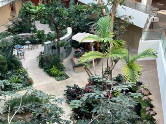 Enlarge photo 48