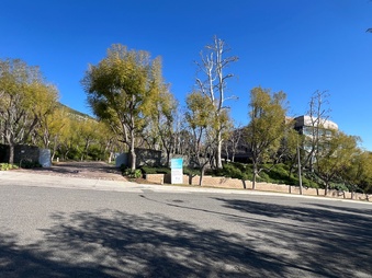 Enlarge photo 73
