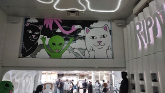 Enlarge photo 4