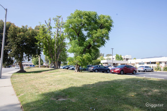 Enlarge photo 98