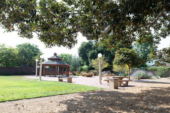 Enlarge photo 133