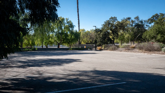 Enlarge photo 43