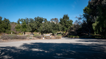 Enlarge photo 161