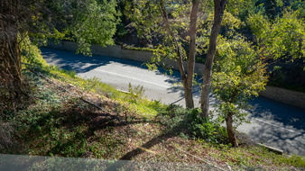 Enlarge photo 35