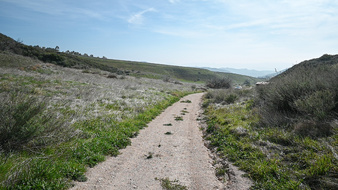 Enlarge photo 2