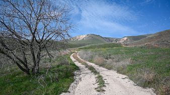 Enlarge photo 4
