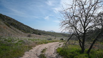 Enlarge photo 5