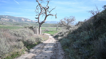 Enlarge photo 15
