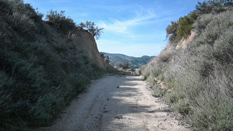 Enlarge photo 16