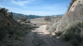Enlarge photo 17