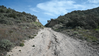 Enlarge photo 18