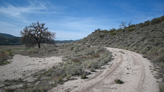 Enlarge photo 19