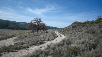 Enlarge photo 21