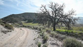 Enlarge photo 23