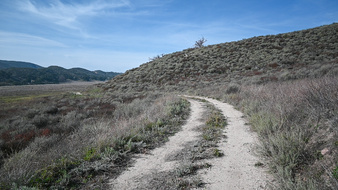 Enlarge photo 26
