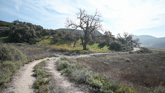 Enlarge photo 27