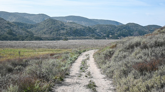 Enlarge photo 29
