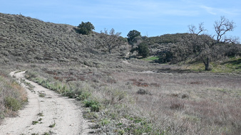 Enlarge photo 31