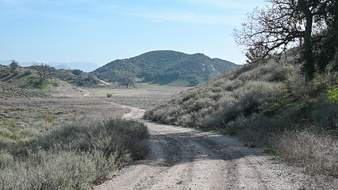 Enlarge photo 32