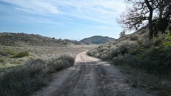 Enlarge photo 33