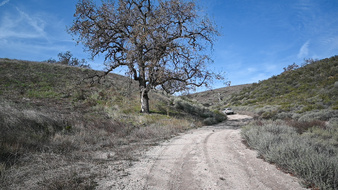 Enlarge photo 34
