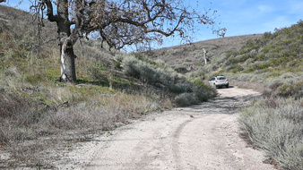 Enlarge photo 35