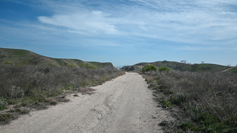 Enlarge photo 38