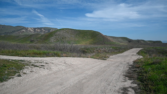 Enlarge photo 42