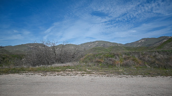 Enlarge photo 44