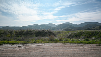 Enlarge photo 45