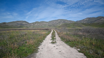 Enlarge photo 47