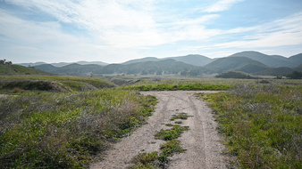 Enlarge photo 48