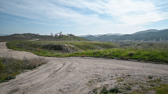 Enlarge photo 49