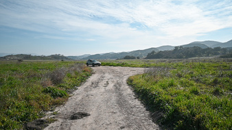 Enlarge photo 52