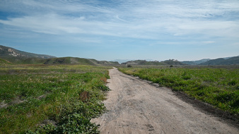 Enlarge photo 55