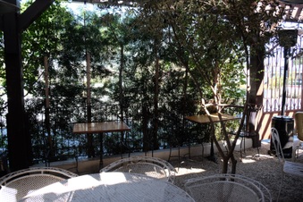 Enlarge photo 16