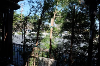 Enlarge photo 25