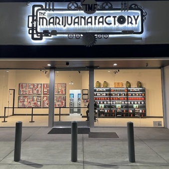 The Marijuana Factory