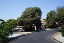 Enlarge photo 43