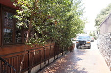 Enlarge photo 42
