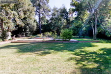 Enlarge photo 51