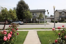 Enlarge photo 31