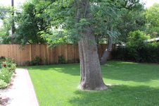 Enlarge photo 31