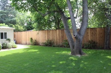 Enlarge photo 30