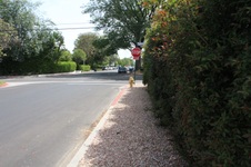 Enlarge photo 42