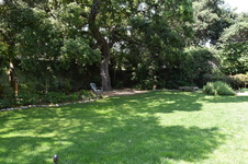 Enlarge photo 19