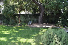 Enlarge photo 33