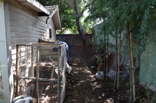 Enlarge photo 36